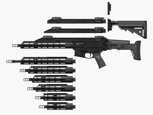 TINCK Arms Perun X15 carabine semi-automatique canon de 14.5" crosse pliante .300 AAC Blackout chargeur de 30 coups