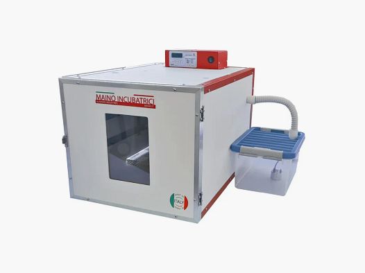 Incubatrice automatica Maino DUC 70 con umidificatore