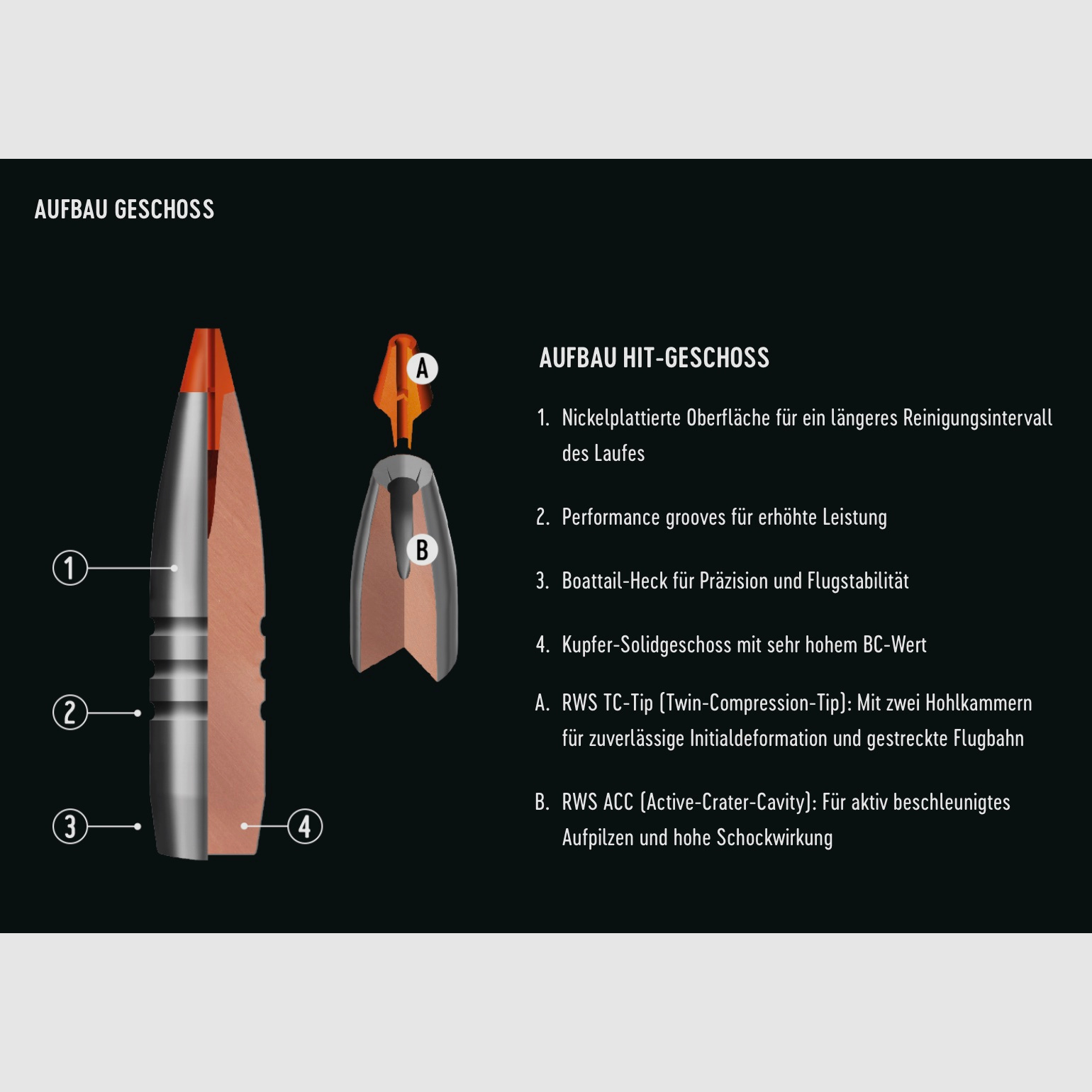 RWS 2408475 Büchsenpatronen 8x57 IS HIT Short Rifle 10,4 g160grs. Bleifrei