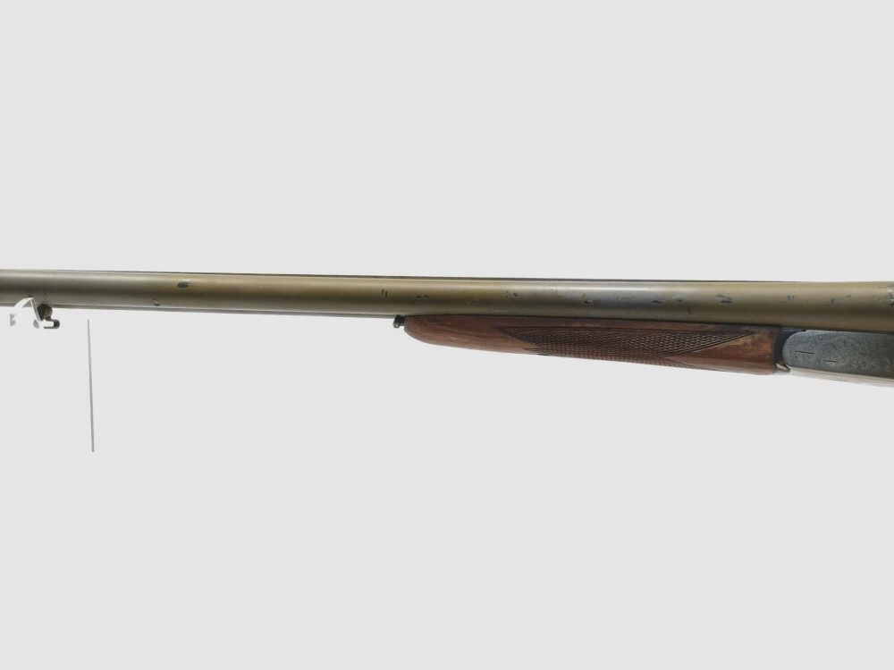 Zabala Kestrel
