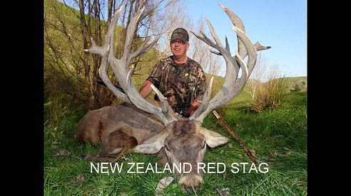 Hunting Red Stags New Zealand with Amplehunting, Winter.