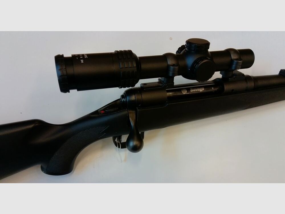 Savage 111