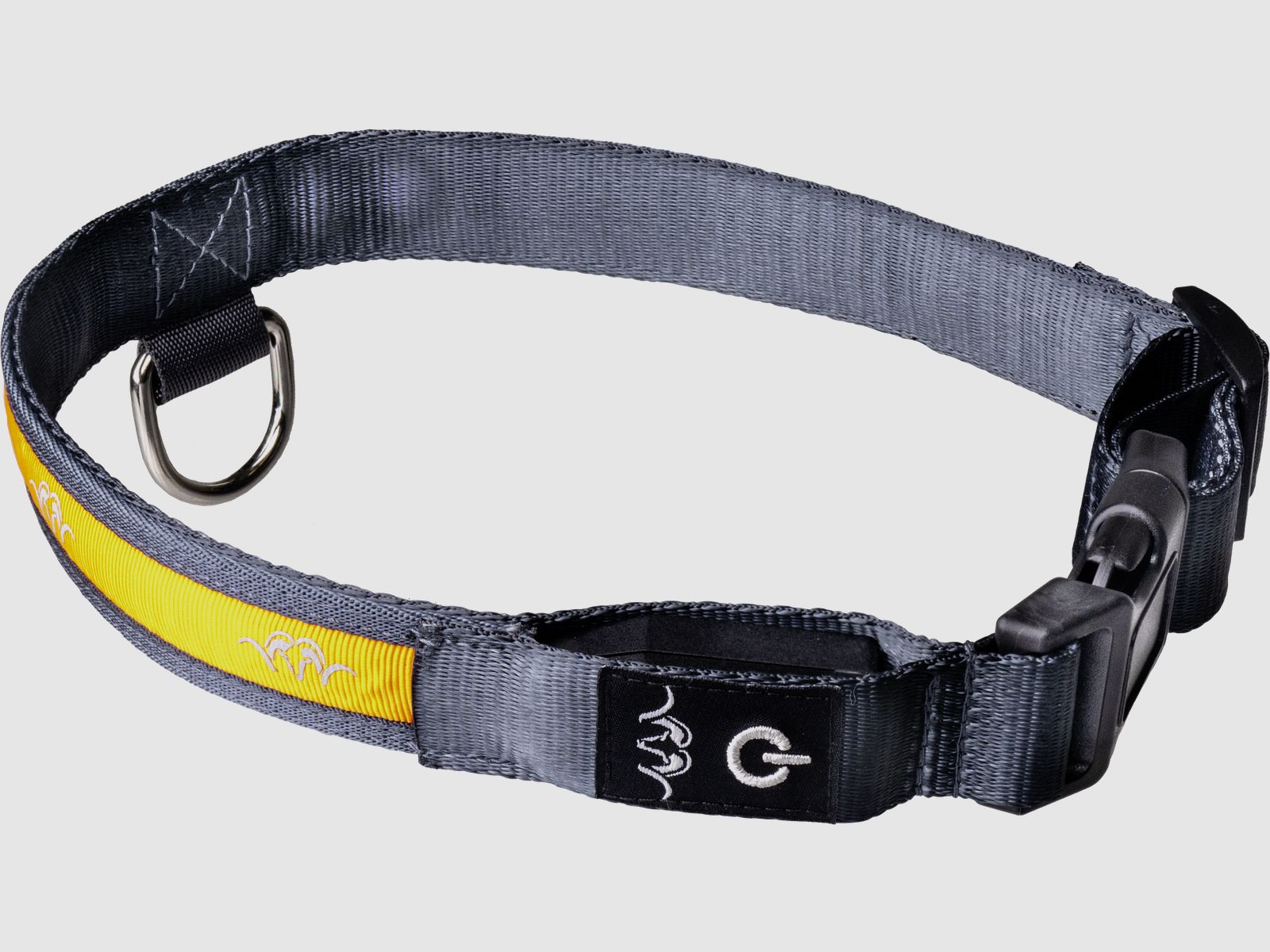 Halsband LED Orange Orange XL