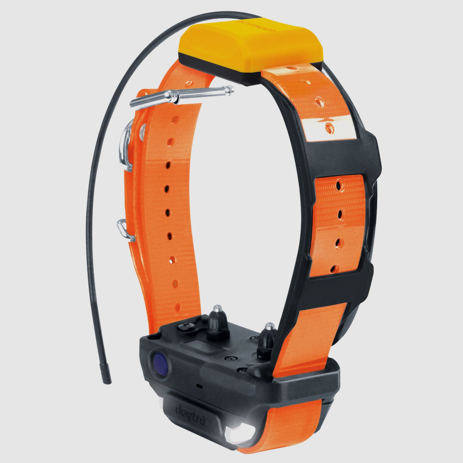 DOGTRA Pathfinder 2 additional collar
