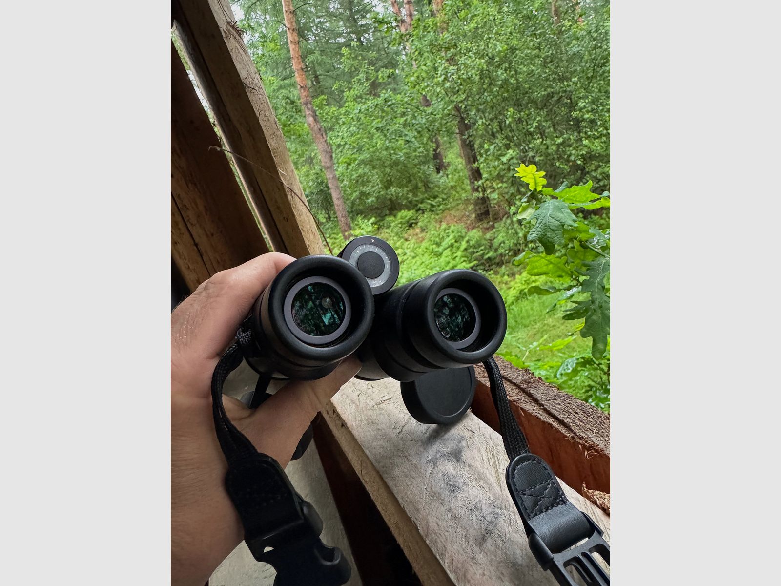 Leica ultravid hd 10&42