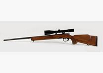 Steyr SL