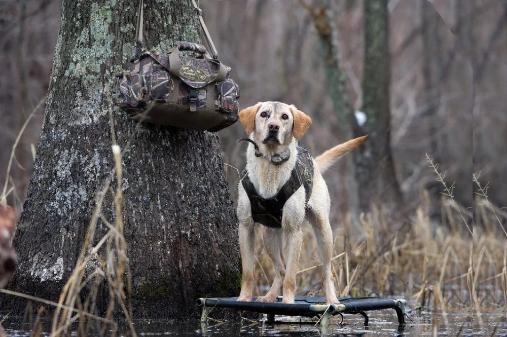 Rig'Em Right Shell Shocker taske, billede 4 af 7