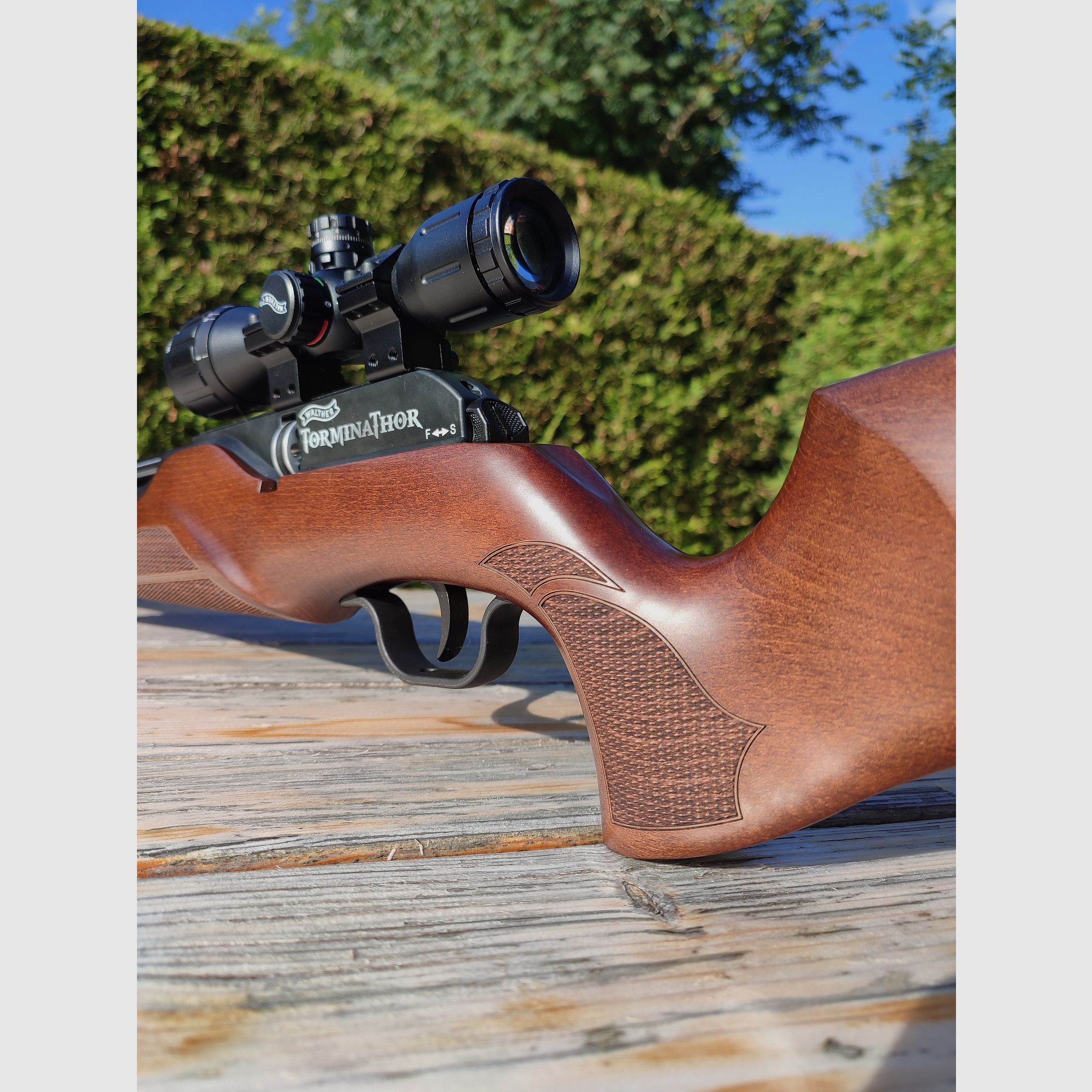 Walther Torminathor 4.5mm Diabolo F air rifle PCP