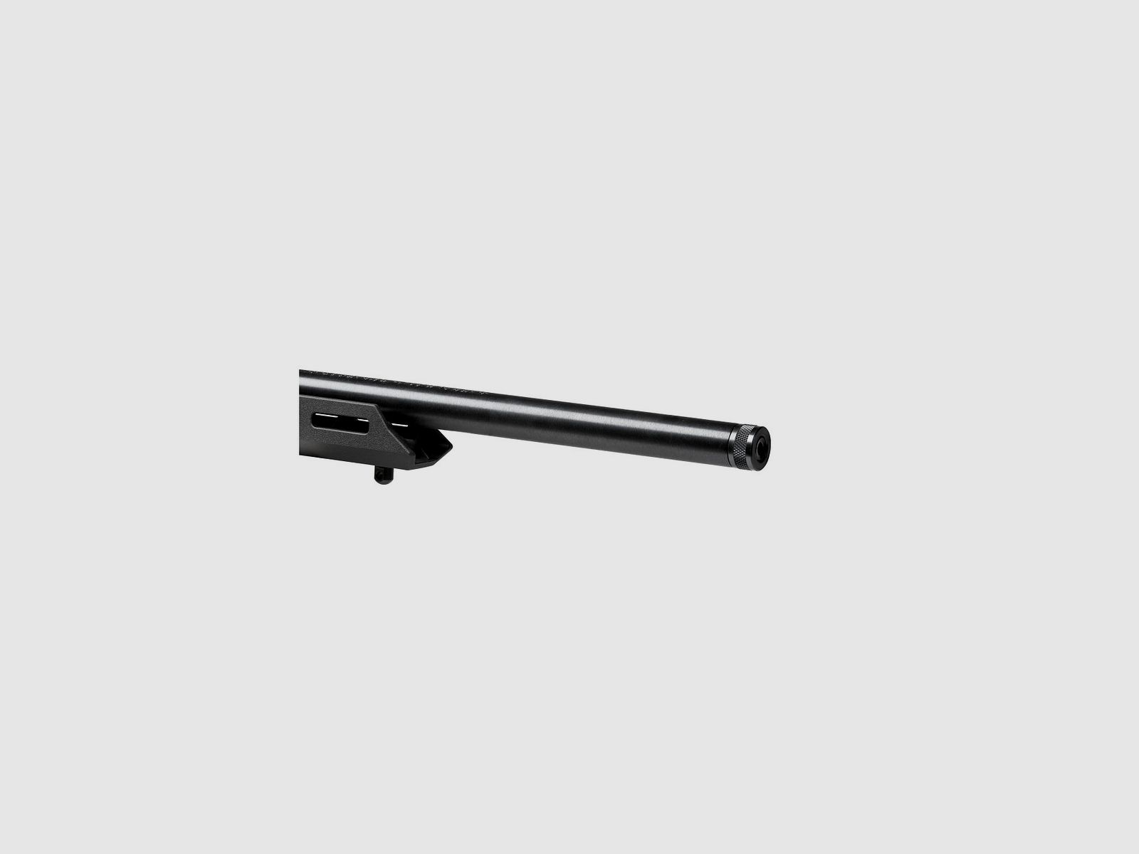 Savage 64 Precision Cal. 22 LR, image 6 sur 7