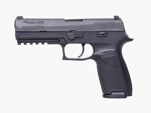 Sig Sauer P320 Fullsize 9mmPara
