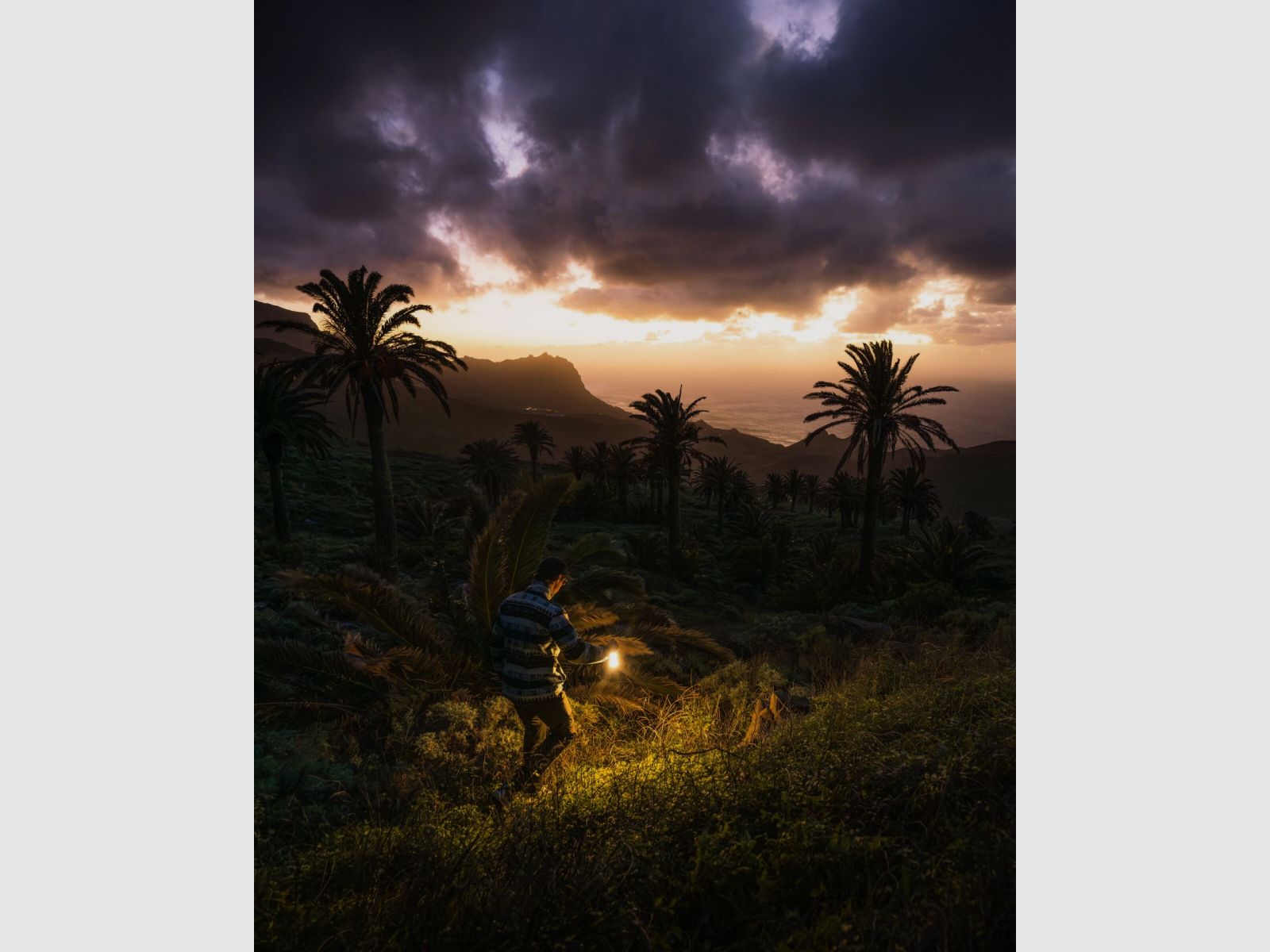 LEDLENSER Campinglampe ML6 Warm Light