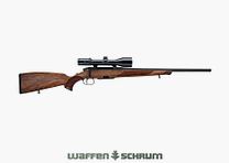 Offre complète Steyr SM12 incluant l'optique