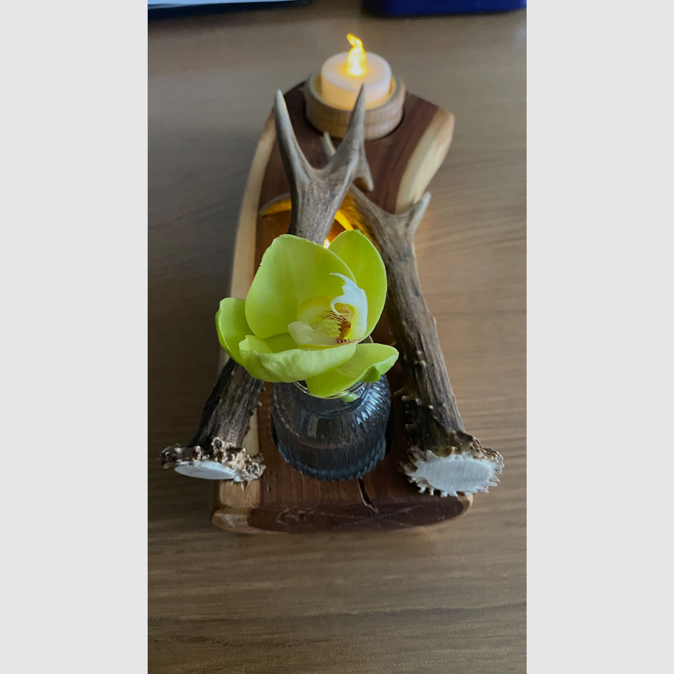 Tischdeko Deko Beleuchtung Vase Geweihstangen Holz