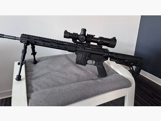 LDT AR15 mit ZF von Falke