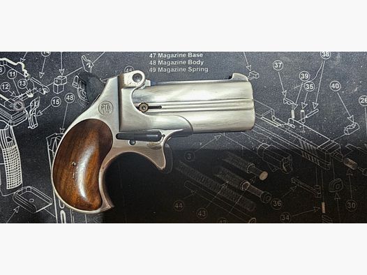 Noris Twinny Derringer 9mm R