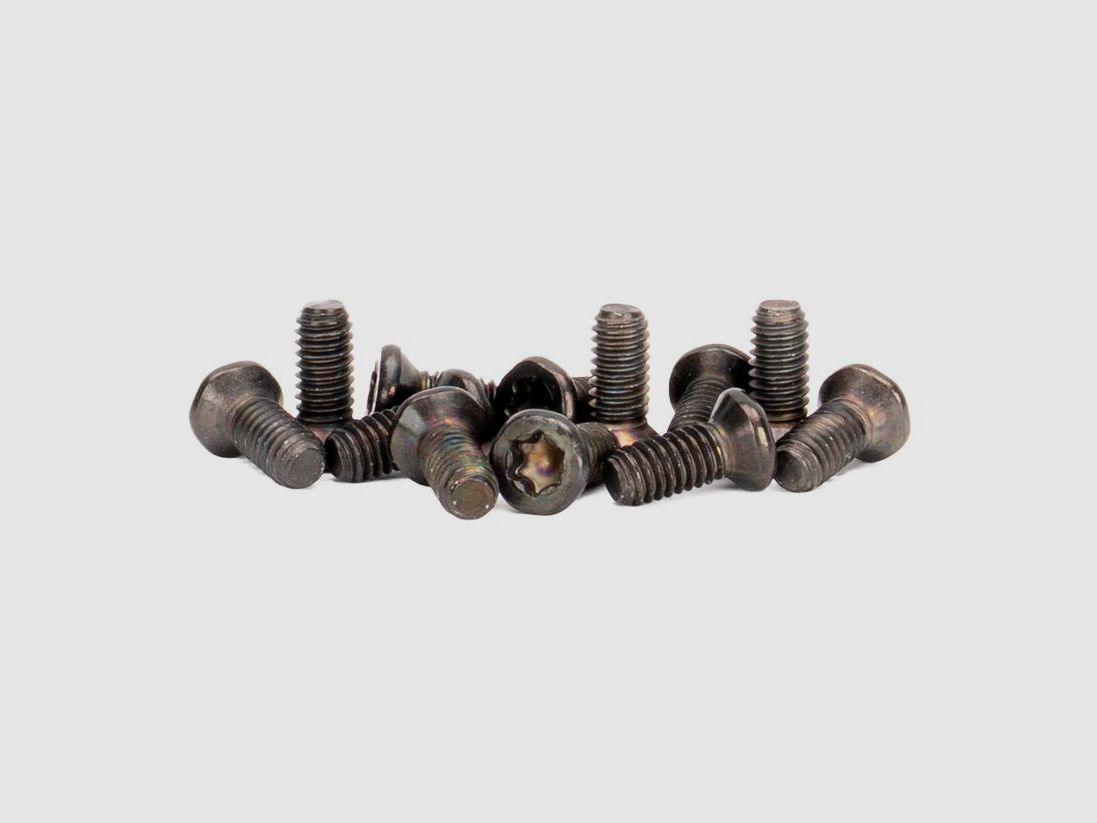 Spuhr Schrauben für Ringoberteil M4x10 TX20 - 15 Stück