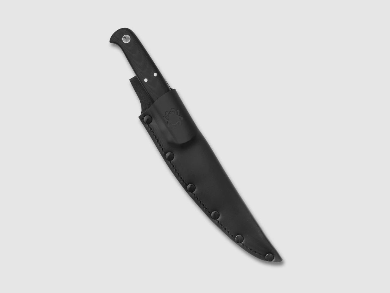 Cuchillo Spyderco fileteador Shelter Cove, imagen 2 de 3