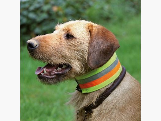 AKAH Hundehalsband reflektierend