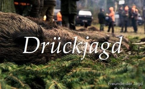 Drückjagd im Wilden Osten - Unterwegs mit den Hunter Brothers Teil 1/2