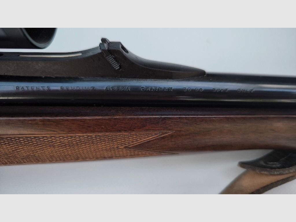 Carabine de chasse Browning Acera en calibre .30-06 Springfield avec montage Leupold et scope HAKKO Hunter red dot sight