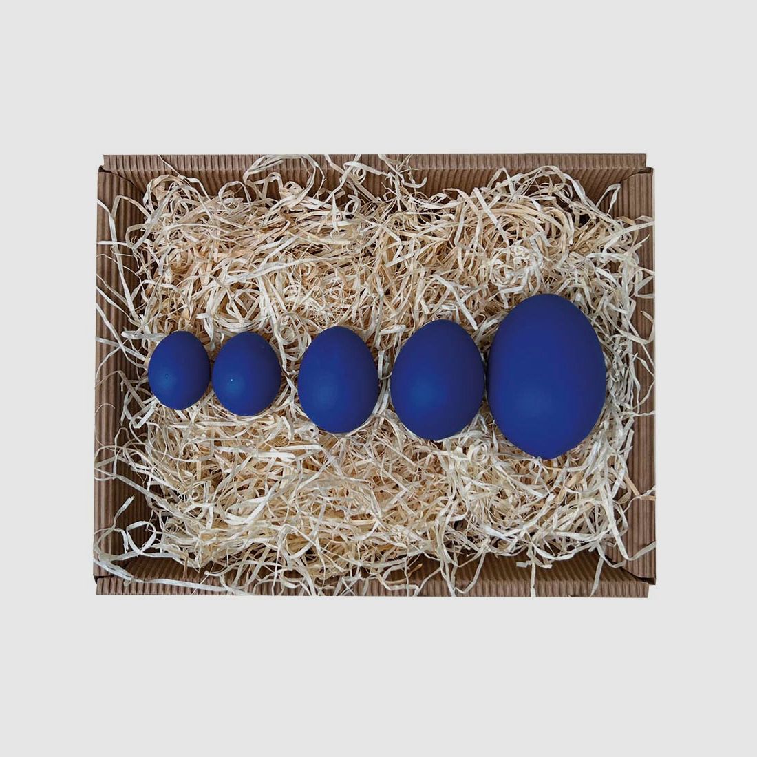 Pollito enano fluorescente azul UV