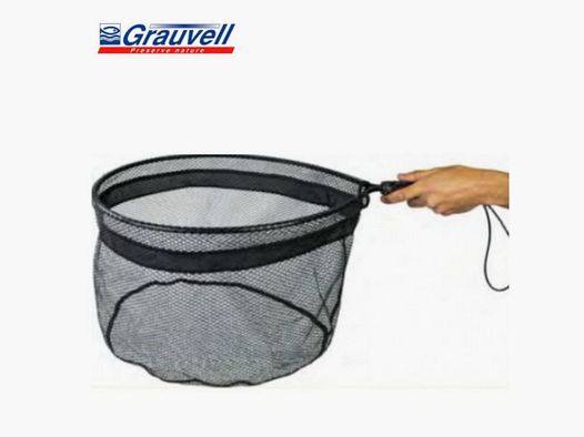 Retino da mosca Grauvell