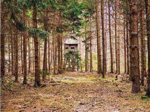 Jagd&shy;kurs – Wochentagskurs ab Di 12.01.2027