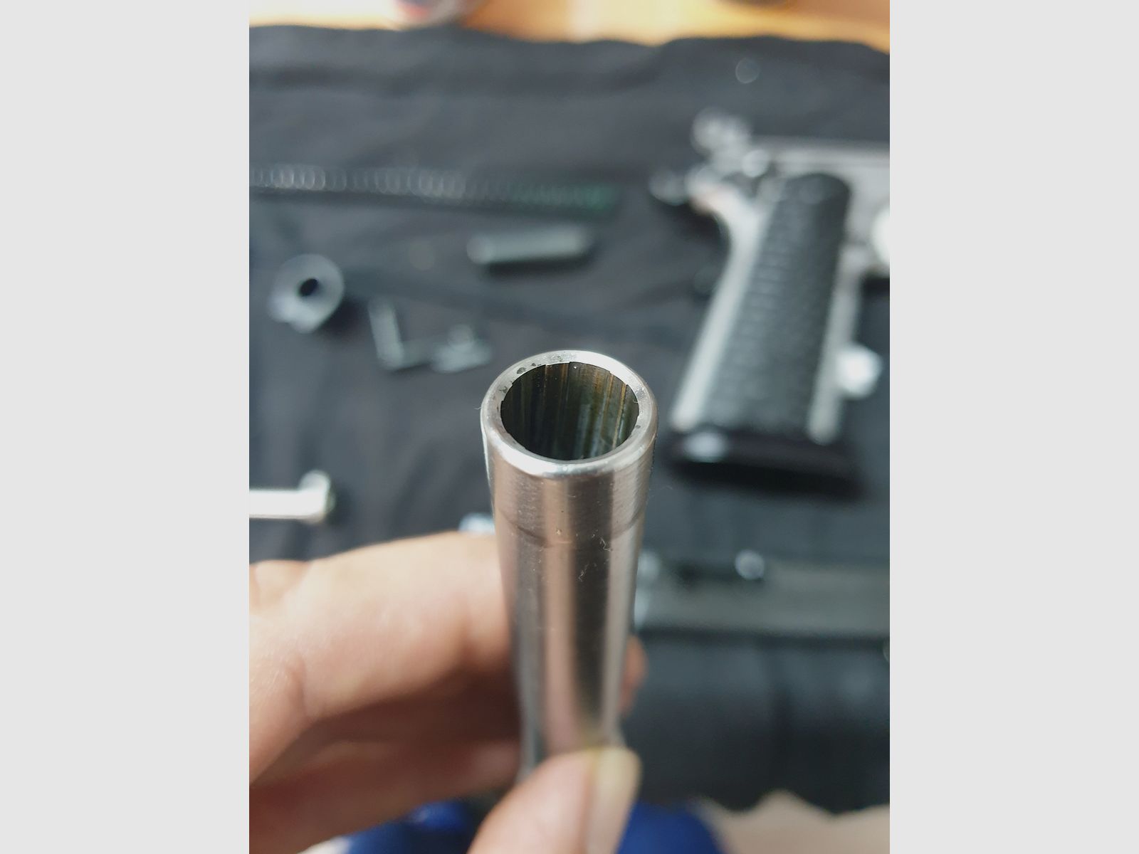 Sig Sauer Max Michel 