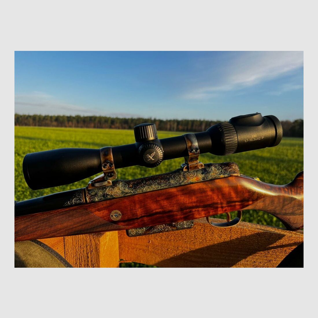 Sauer & Sohn Custom by Mohring Jagdwaffen Sauer 80 Custom Luxus