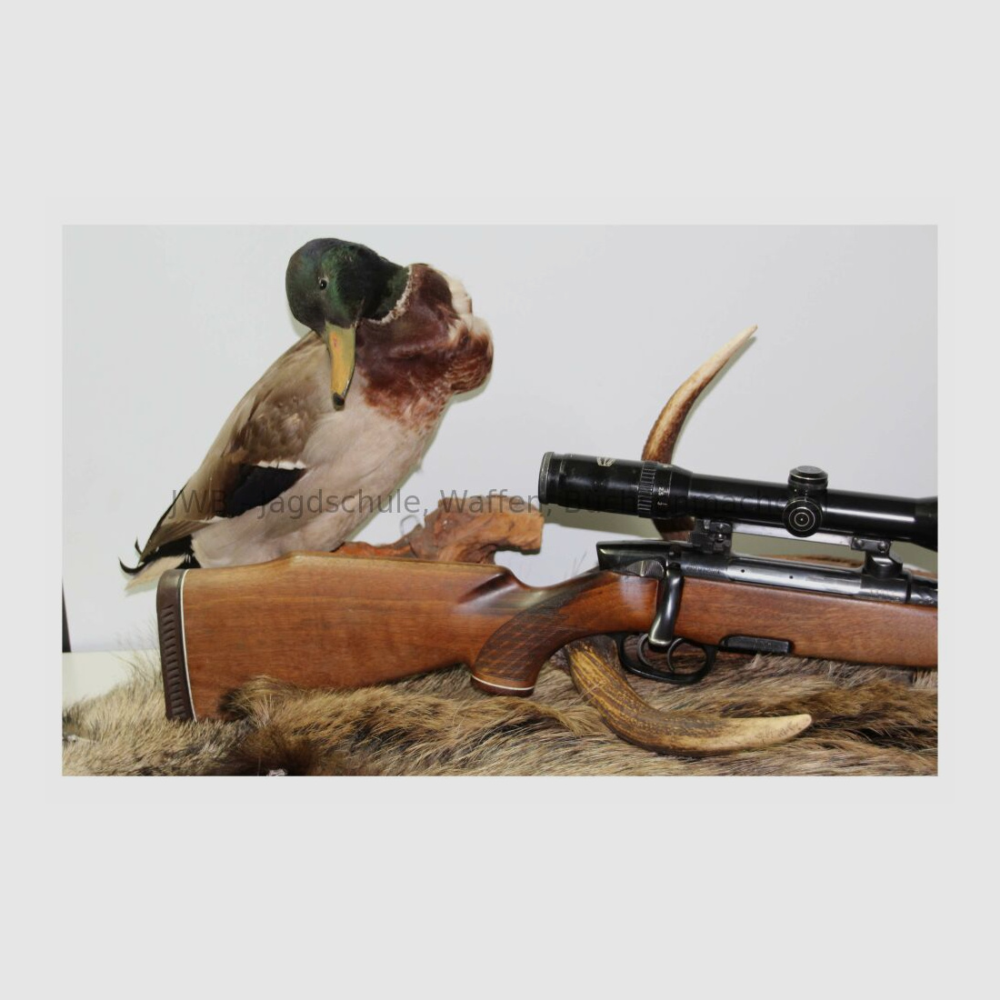 Steyr Mannlicher M mit Schmidt & Bender 2,5 - 10 x 56 7x64