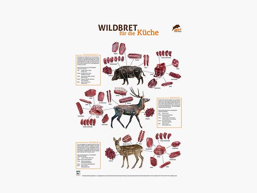 Wildbret-Poster Hoch- und Rehwild