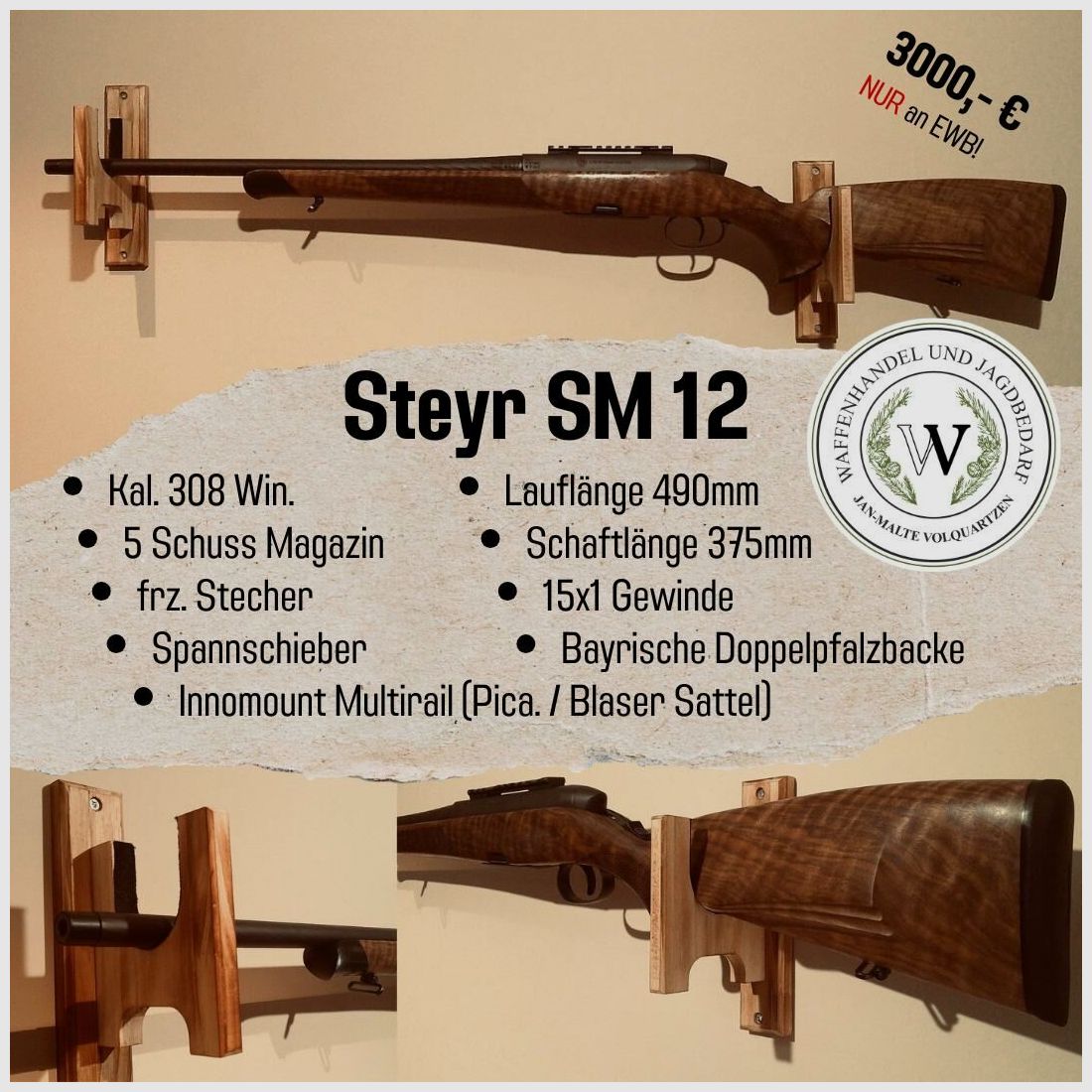 Steyer SM 12 308Win.