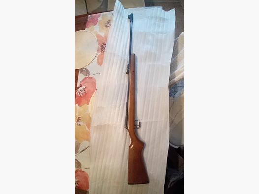 Diana 350 T06 Magnum Hout