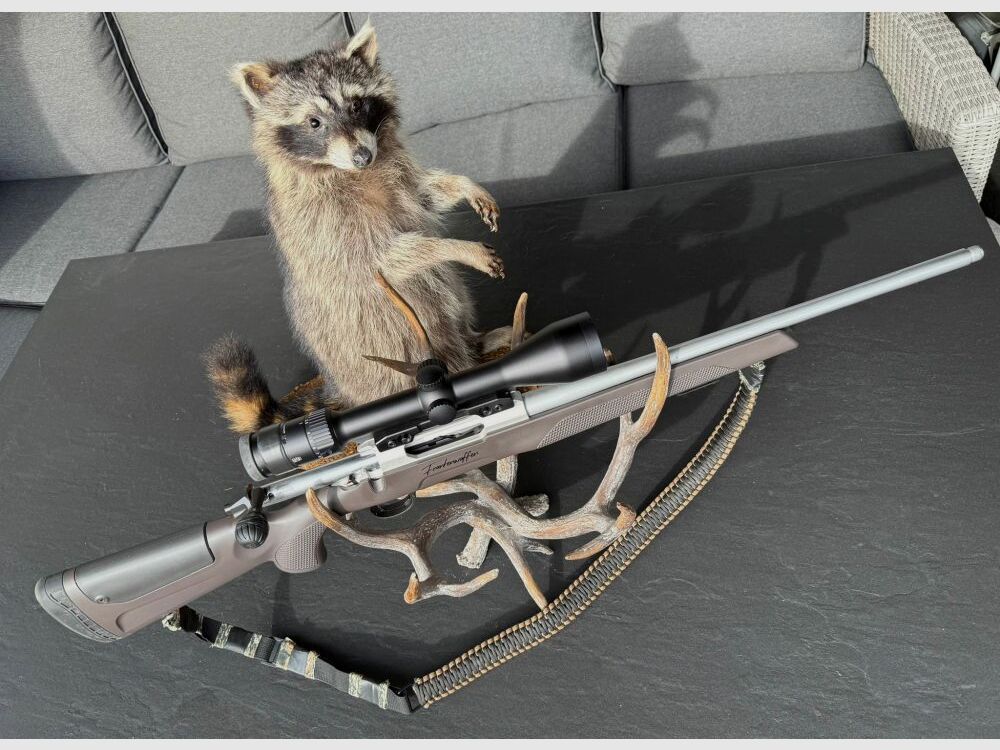 Sabatti Mercury Rover Pathfinder