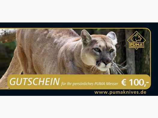 Geschenkgutschein: Wert 100,00€