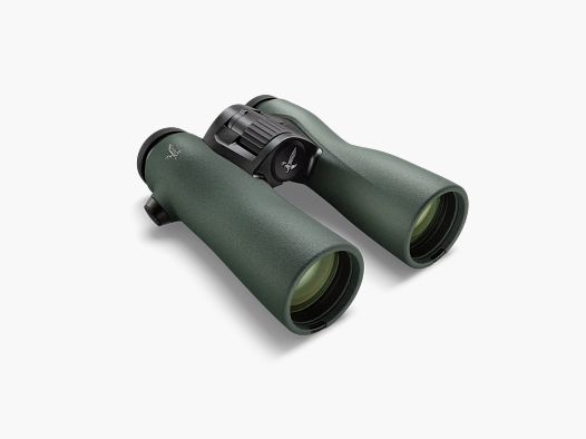 Swarovski NL Pure 8x42 Fernglas (grün)