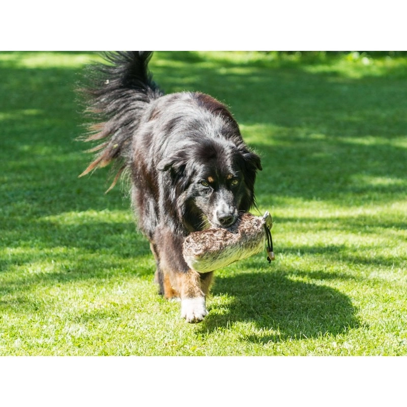 Farm-Land dummy para perros con pelaje completo, imagen 2 de 3