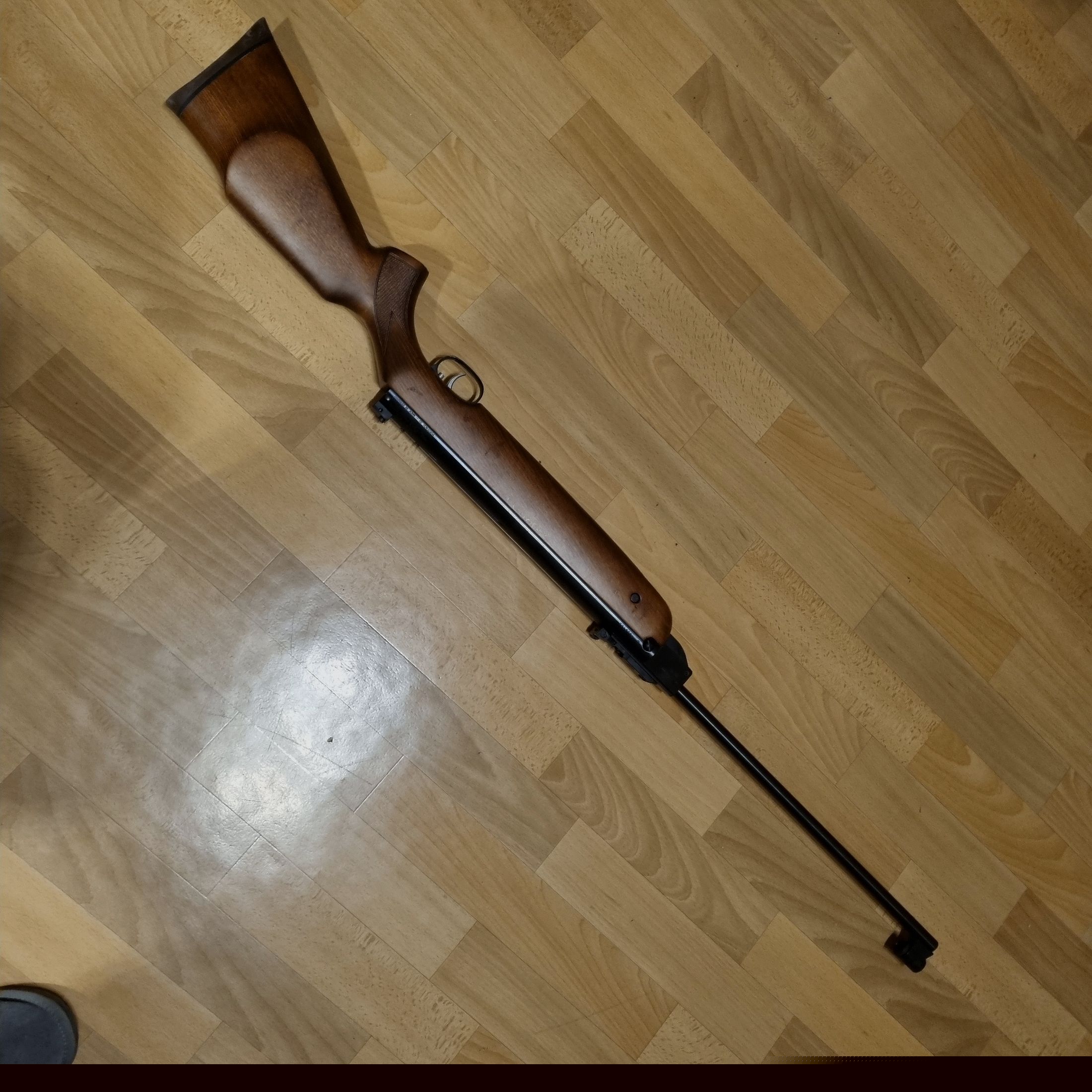 ⁵Incense HW 80 with ZF Gamo 4x20