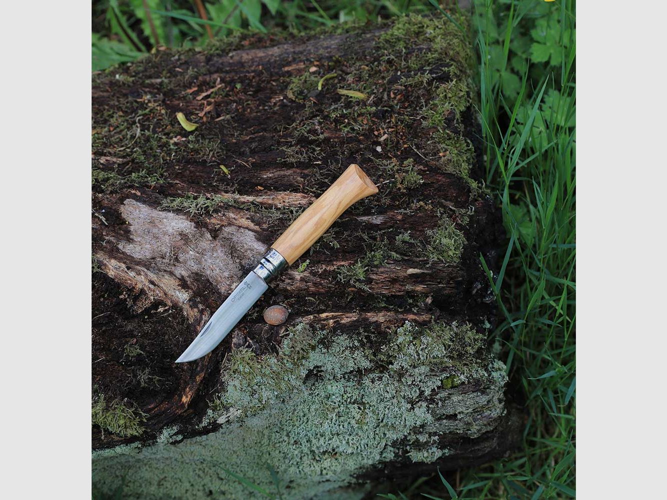 OPINEL OLIVIER N°9, image 2 sur 4