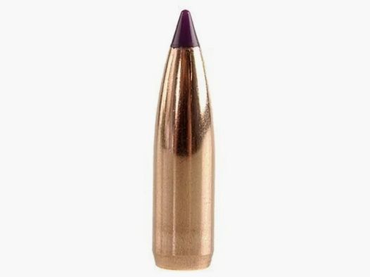 Proiettile Nosler Ballistic Tip Varmint 6mm/.243 80GR Spitzer 100 pezzi