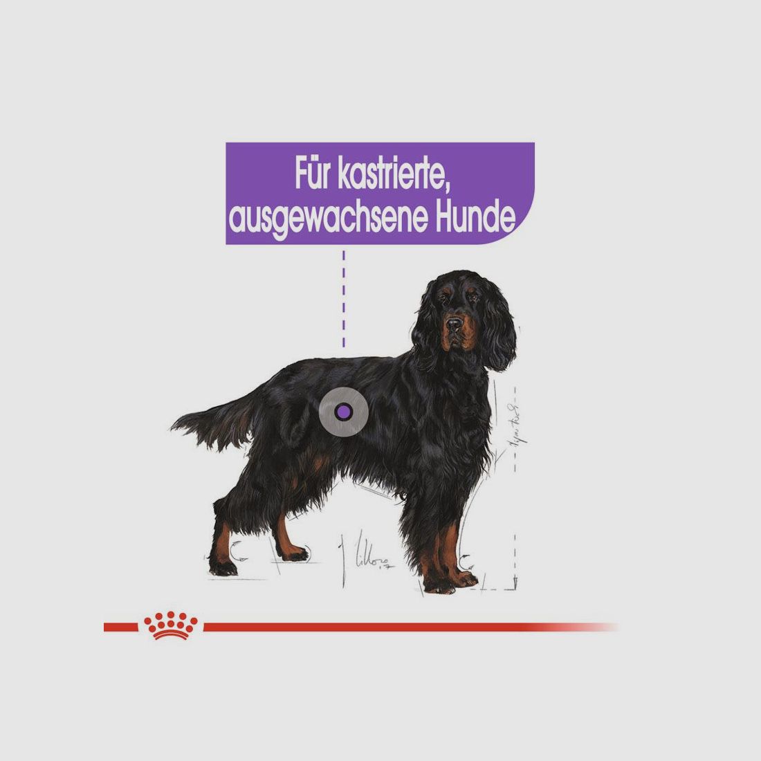 ROYAL CANIN Kastrierte Große Hunde Trockenfutter Sterilised Maxi