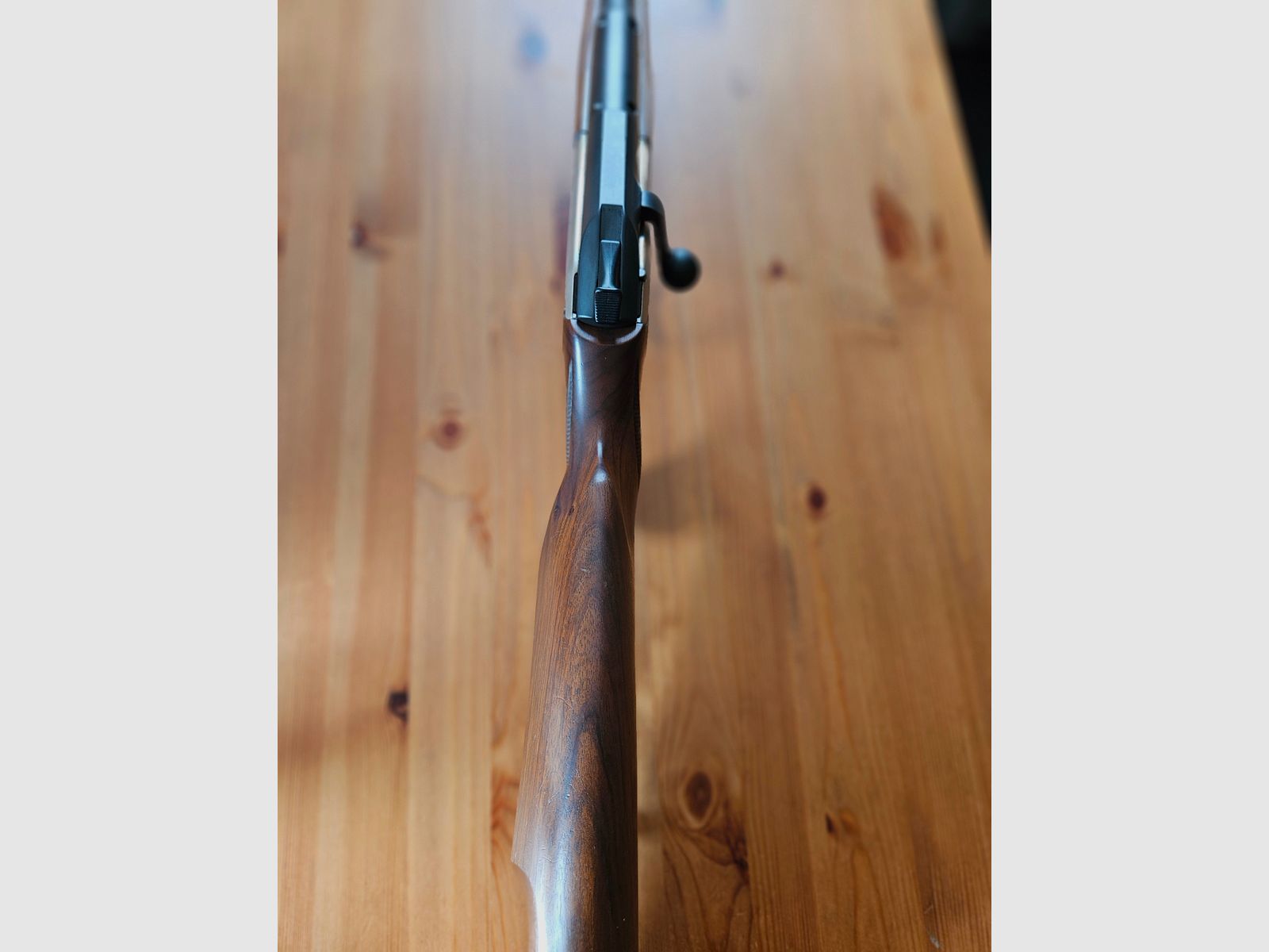 Blaser R93 30-06