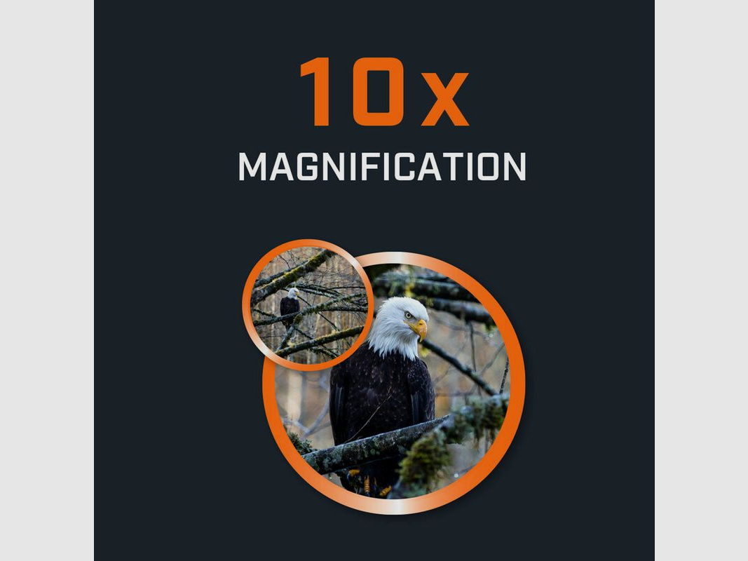 Bushnell H2O 10×42 Waterproof Binoculars (150142R)