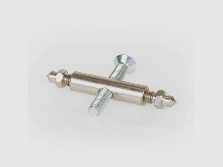 Trophy mount for red deer