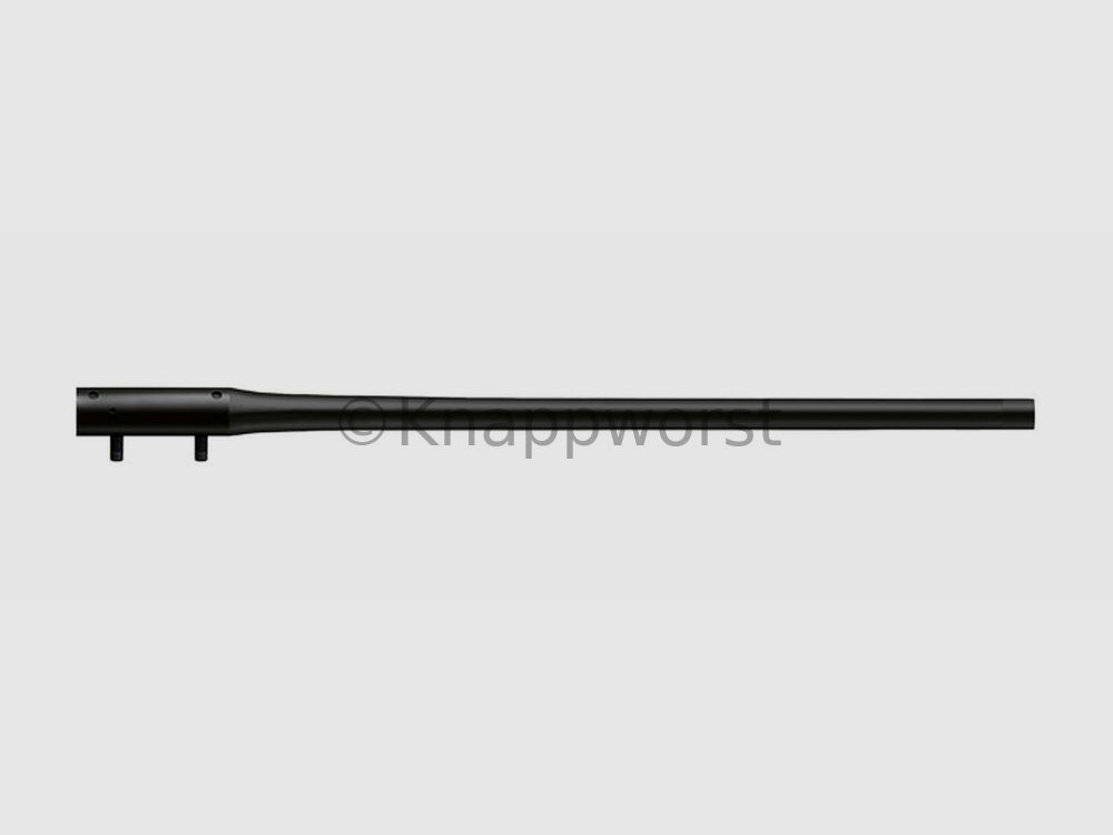 Blaser-Waffen Lauf Blaser R8