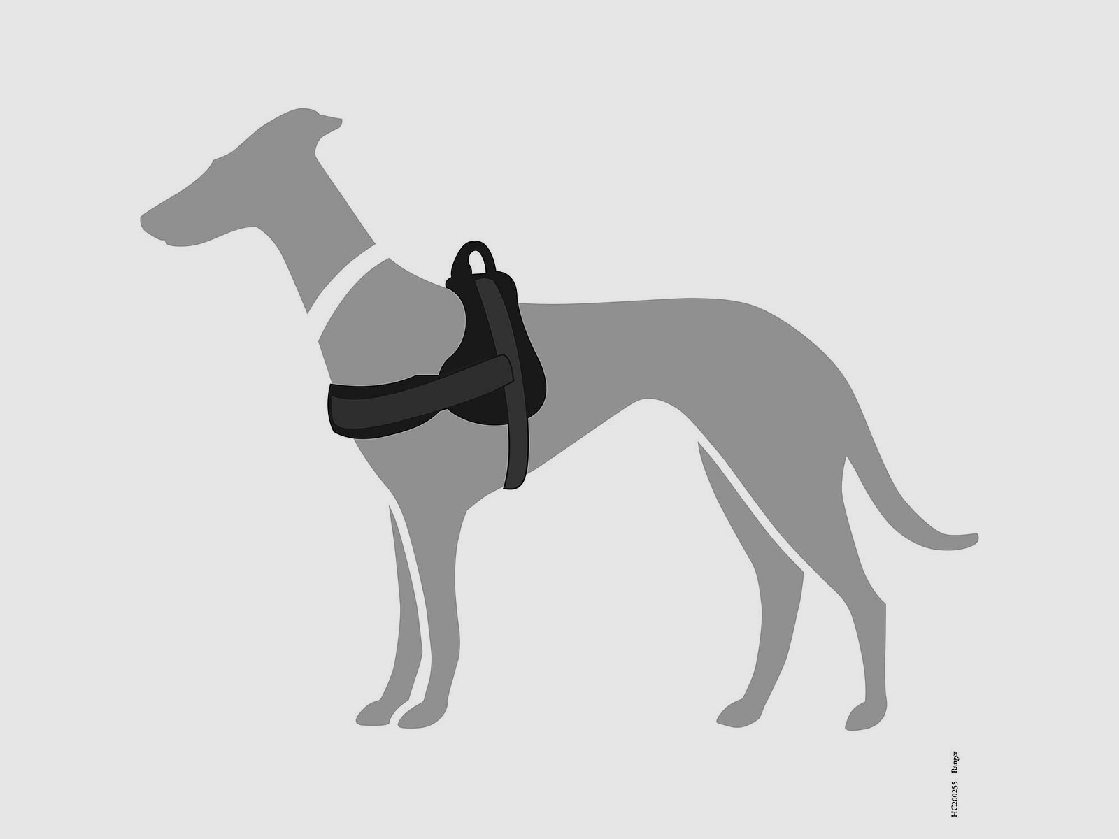 HUNTER Norwegergeschirr Ranger