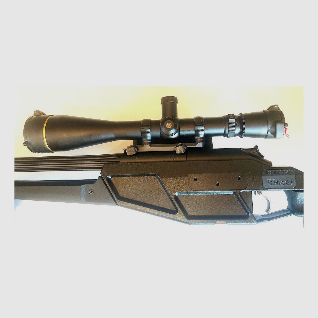 Blaser R93 Tactical (CISM)