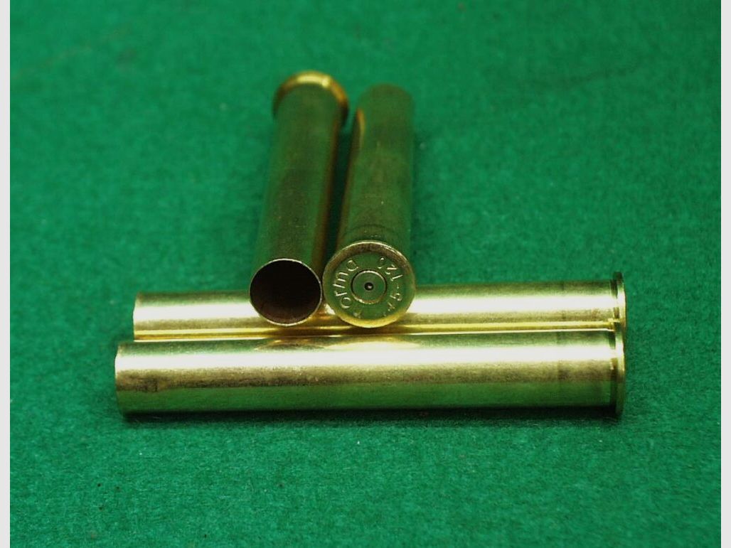 Saguaro Hülsen 45-120