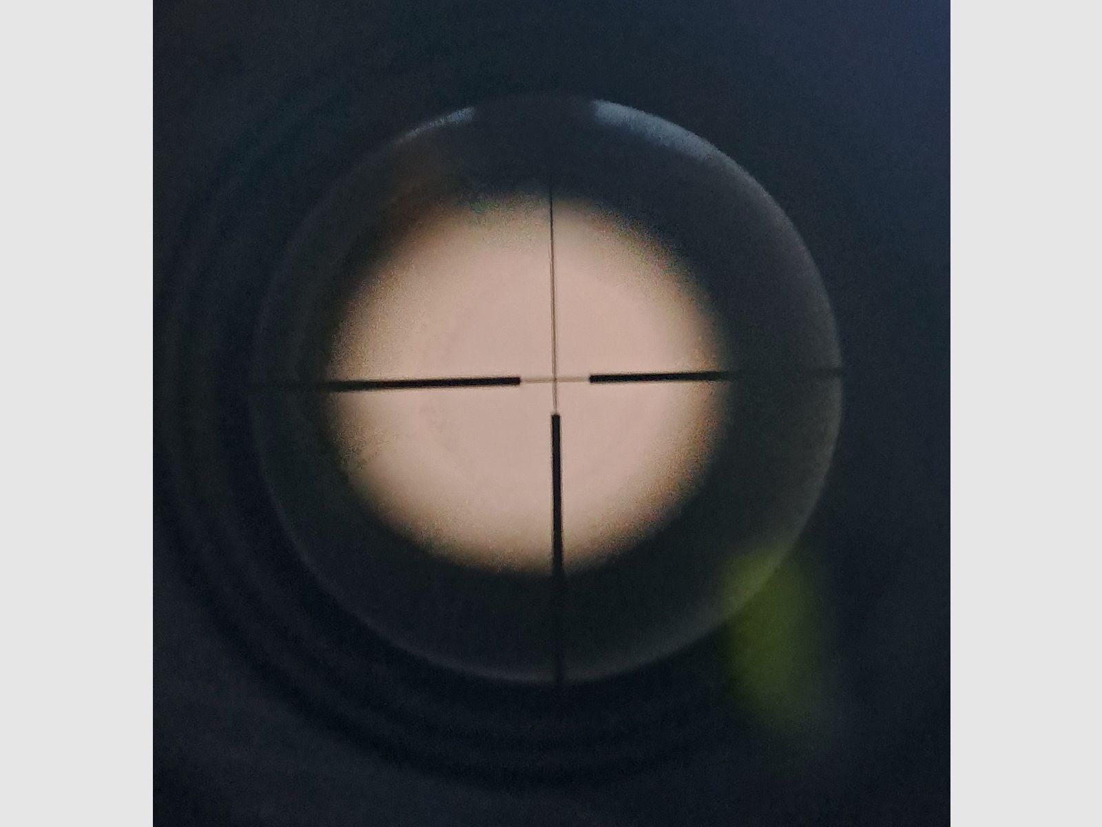 RWS ZF Supreme mit LP