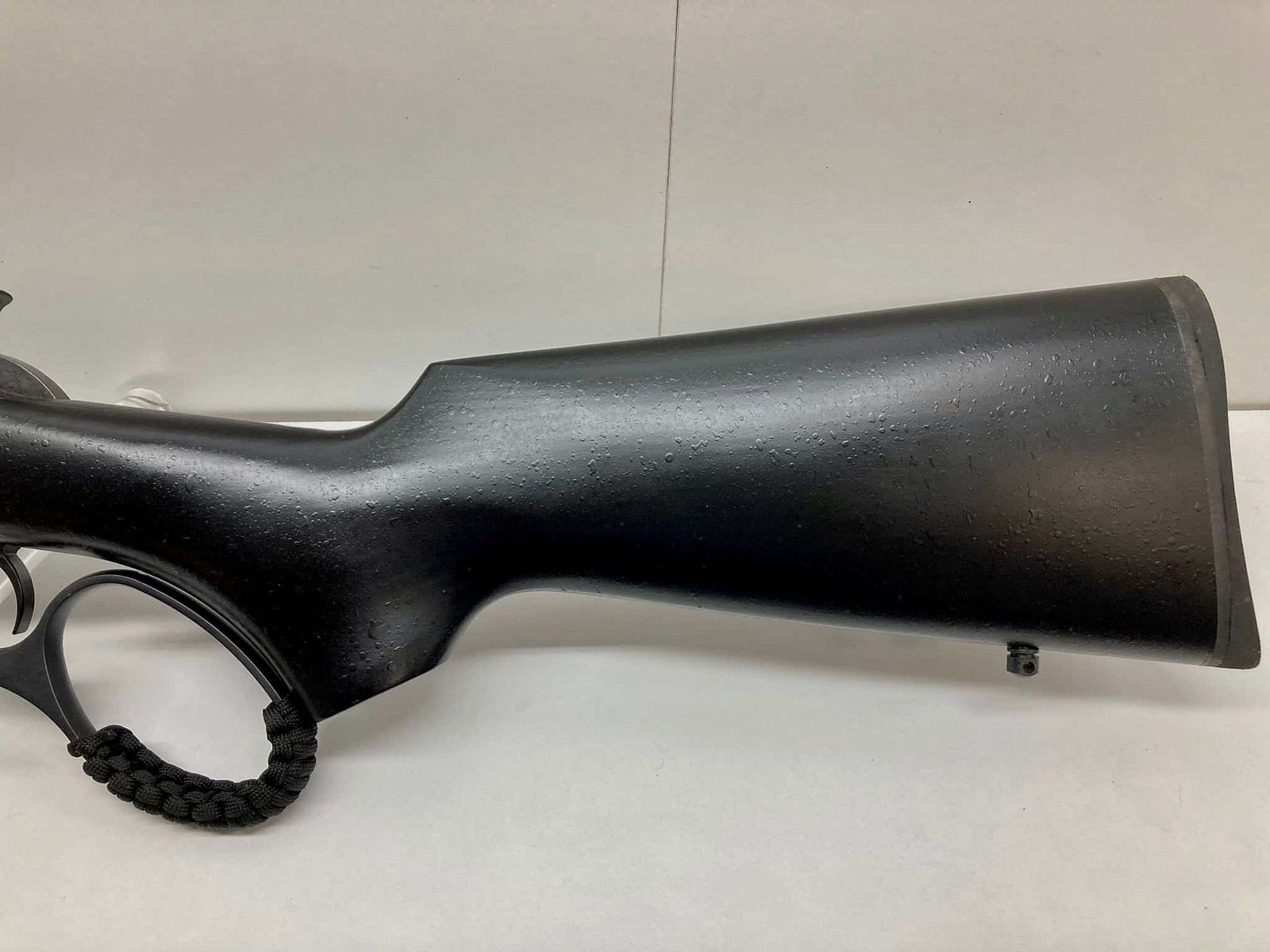 CHIAPPA 1886 WILDLANDS RIFLE | TAKE DOWN